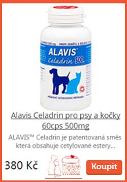 r_alavis-pro-psy-a-kocky